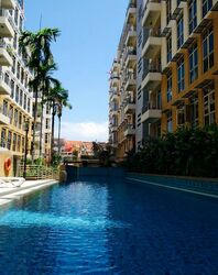 Sims Green (D14), Apartment #496014471